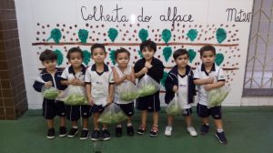 csm (2)