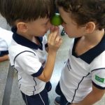 DIA-DA-FRUTA-PRE-2-BM-11-150x150