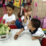 SOPA-DE-PEDRA-MAT-1-AT-9-150x150