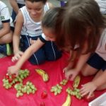 DIA-DA-FRUTA-E-PROJETO-ARTÍSTICO-PRE-2-AM-12-150x150