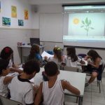 Alimentaçâo-13-150x150