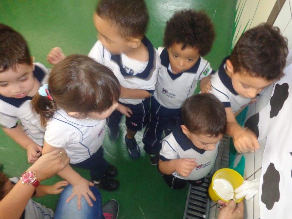 COLÉGIO SANTA MÔNICA – LIVROS PARADIDÁTICOS E ANIMAIS COM PÊLOS – MAT I AT – BONSUCESSO
