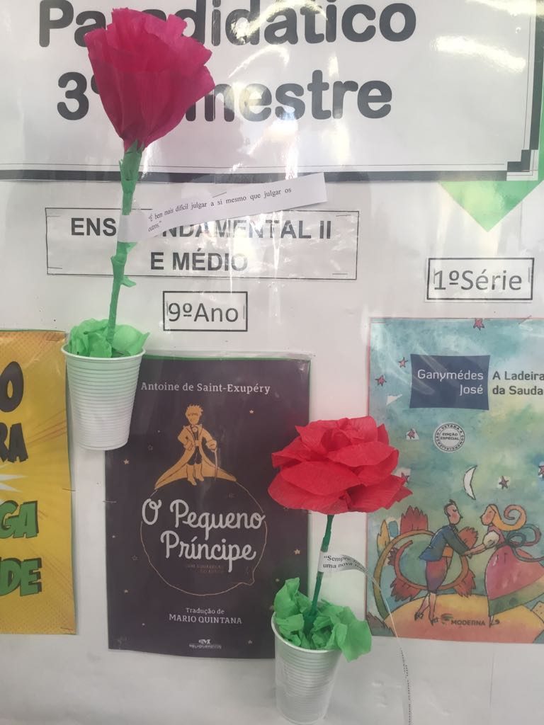 COLÉGIO SANTA MÔNICA – LIVRO PARADIDÁTICO – 9° ANO – BONSUCESSO