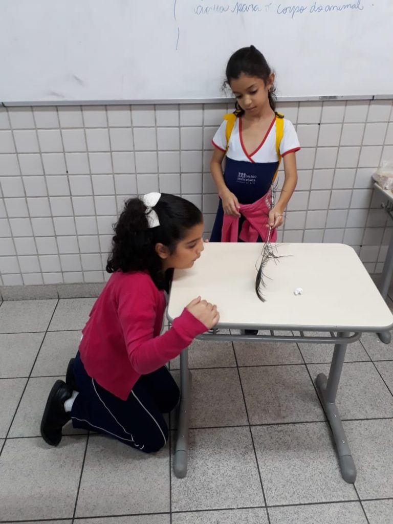 COLÉGIO SANTA MÔNICA – ESTUDANDO AS AVES – 2º AM – SÃO GONÇALO