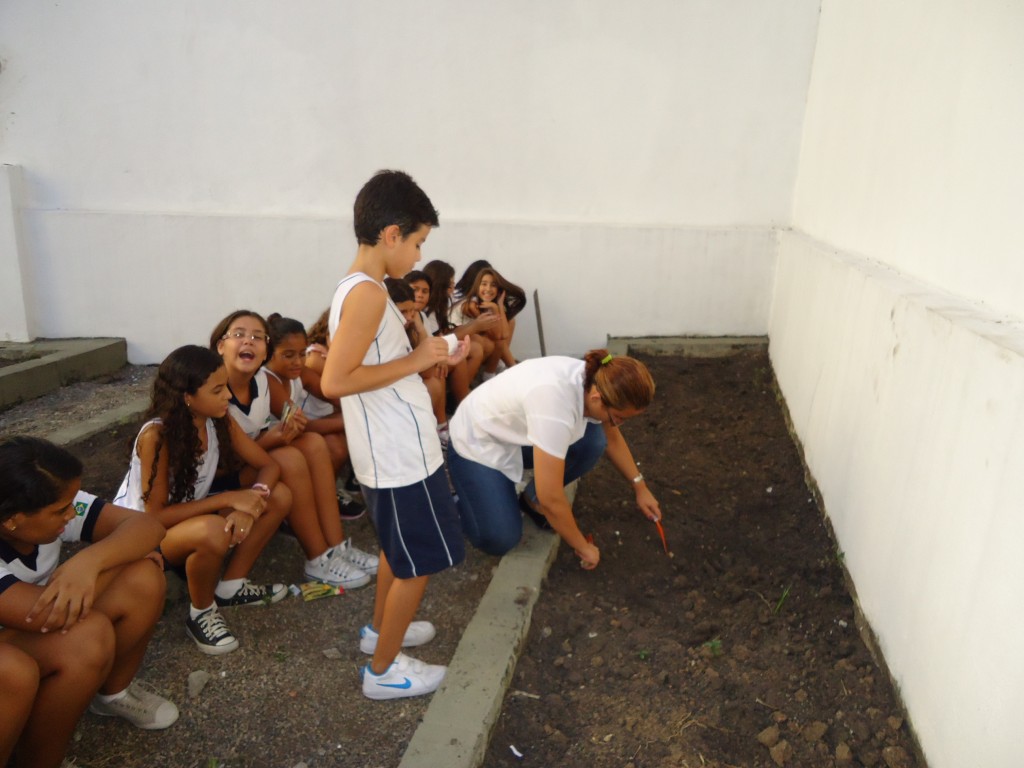 HORTA – 5° ANO – BONSUCESSO
