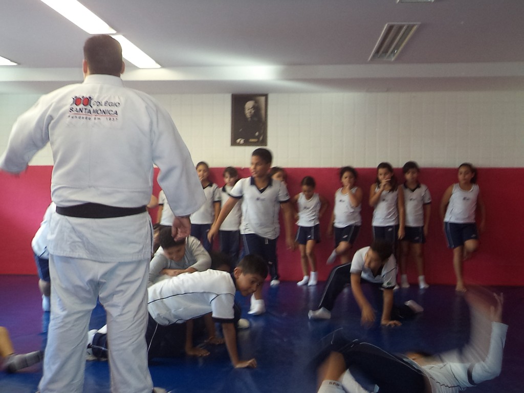 EDUCAÇÃO FÍSICA – TEMA LUTAS, PROFESSOR LEO – PARTE I – TAQUARA