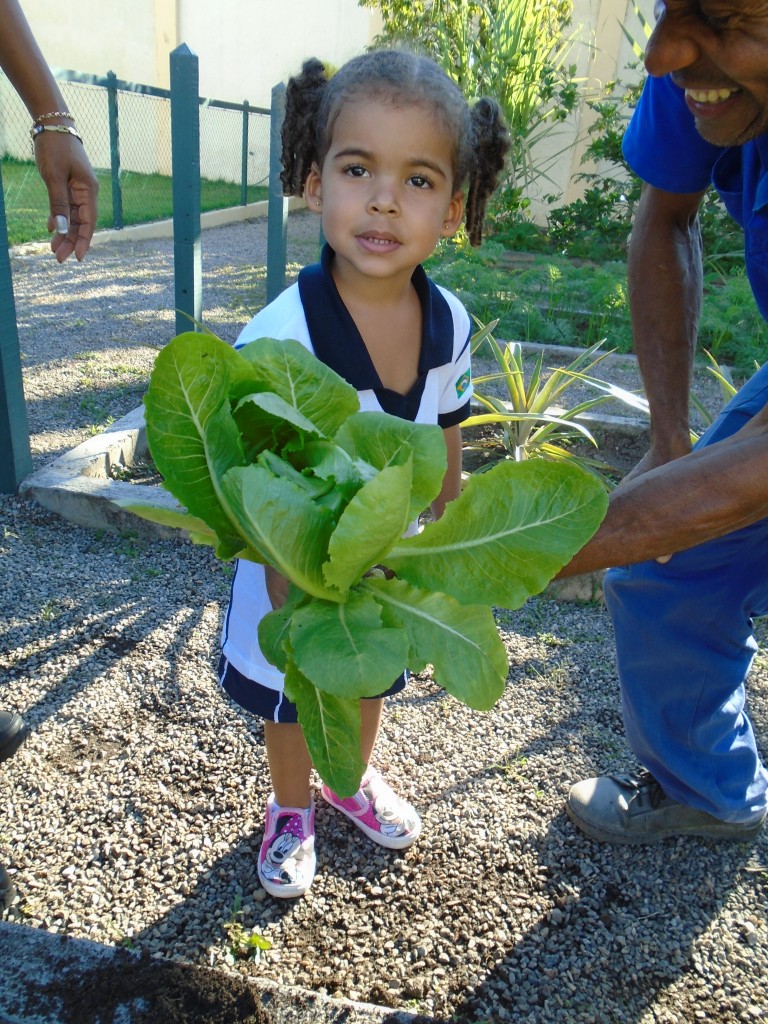 HORTA – MATERNAL – SÃO GONÇALO