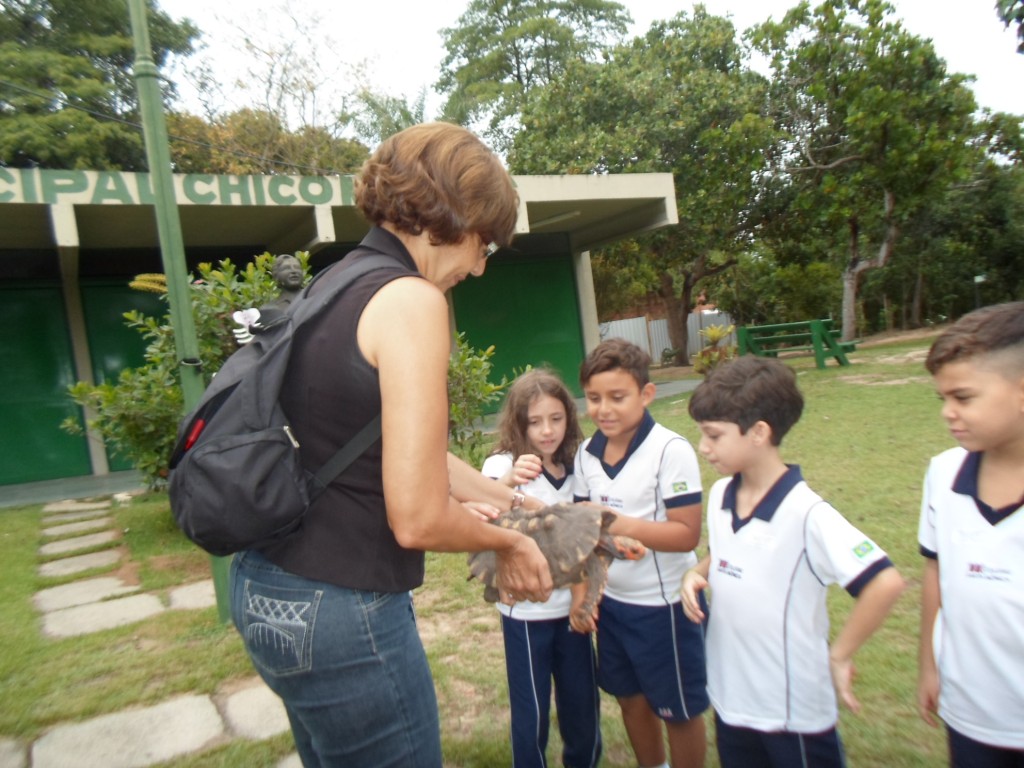 PASSEIO – 2º ANO – PARTE V – TAQUARA