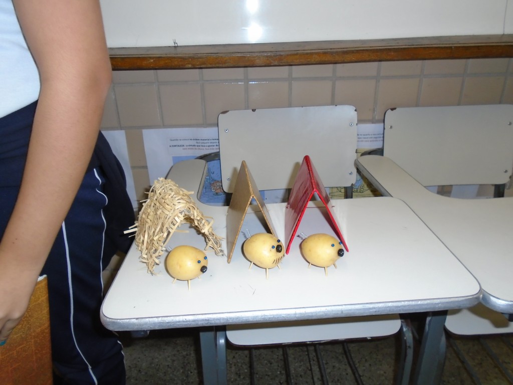 PROJETO LITERÁRIO – 5º ANO – TAQUARA
