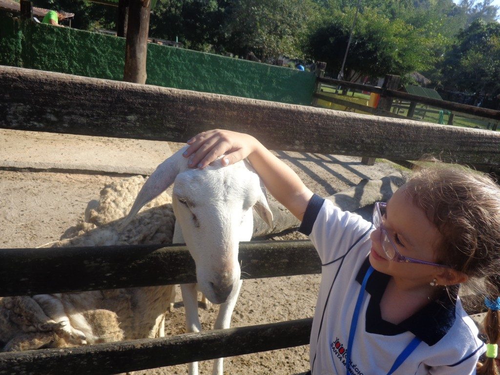 PASSEIO A FAZENDA ESTAÇÃO NATUREZA – EDUCAÇÃO INFANTIL – PARTE II – BONSUCESSO