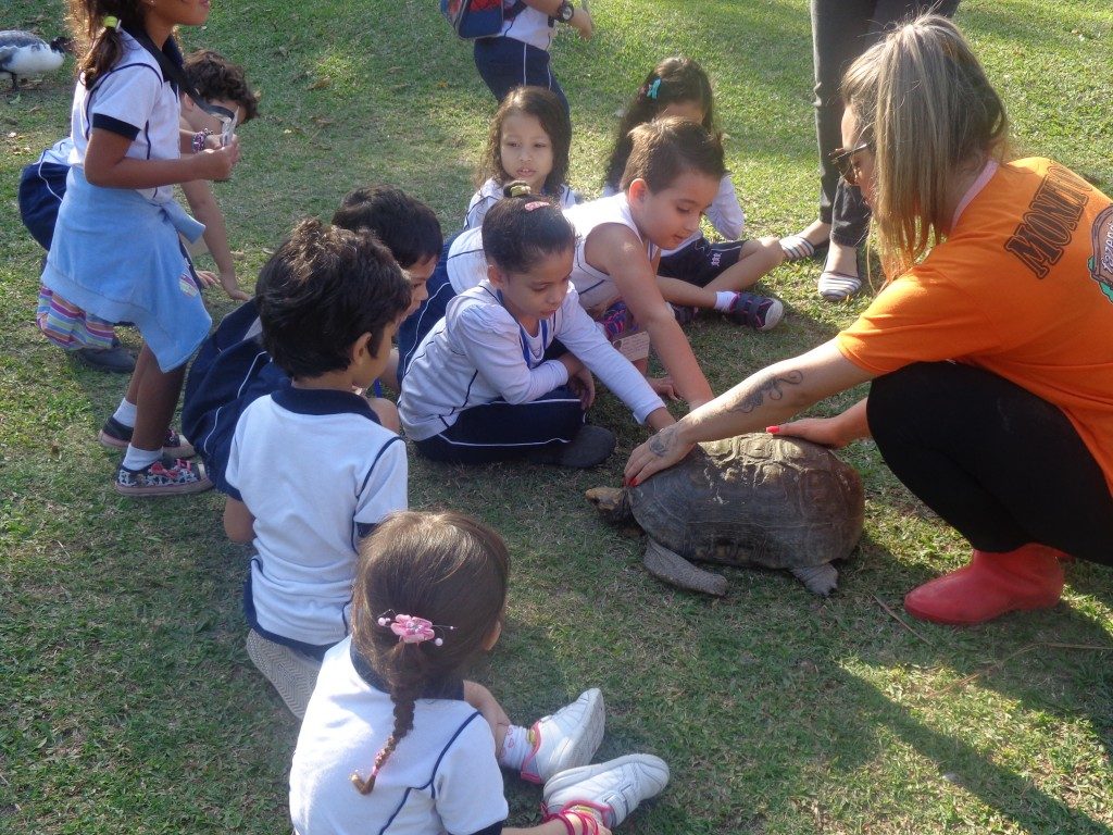 PASSEIO A FAZENDA ESTAÇÃO NATUREZA – EDUCAÇÃO INFANTIL – PARTE IV – BONSUCESSO
