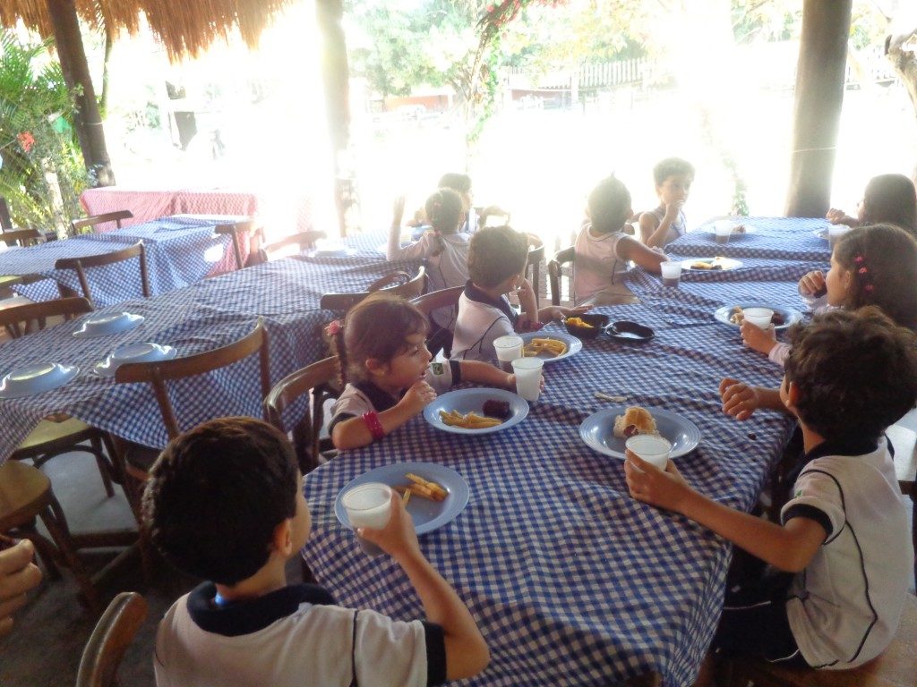 PASSEIO A FAZENDA ESTAÇÃO NATUREZA – EDUCAÇÃO INFANTIL – PARTE VI – BONSUCESSO