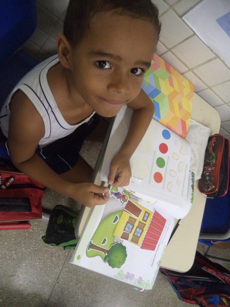 COLÉGIO SANTA MÔNICA-CIÊNCIAS SOCIAIS E NATURAIS NO LIVRO-BONSUCESSO