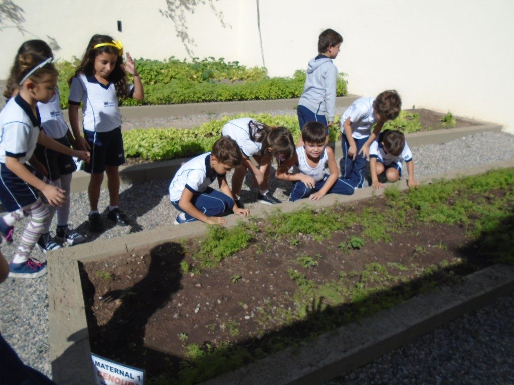 COLÉGIO SANTA MÔNICA – ELEMENTOS – ENSINO FUNDAMENTAL I – TAQUARA