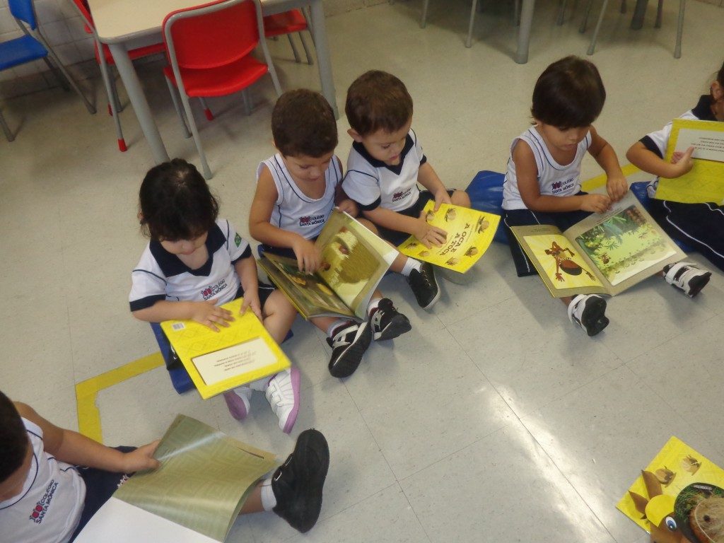COLÉGIO SANTA MÔNICA – LIVRO PARADIDÁTICO – MAT I AT – BONSUCESSO