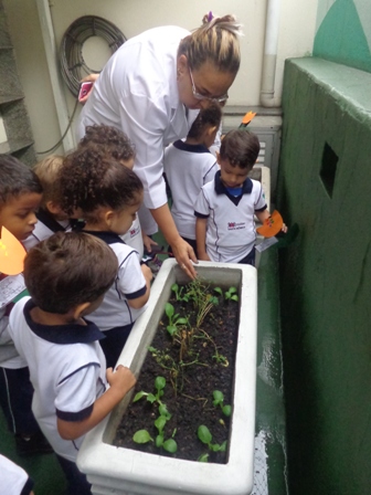 COLÉGIO SANTA MÔNICA – MEIO AMBIENTE – MAT II (AM) – BONSUCESSO