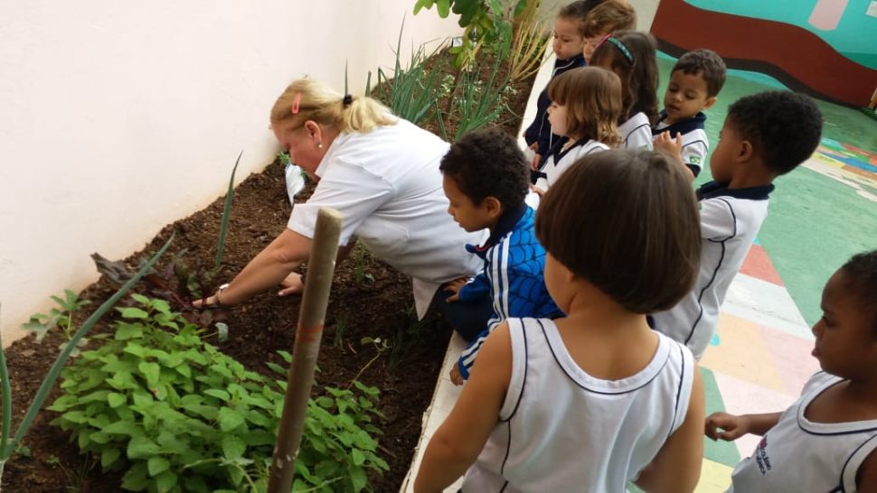 COLÉGIO SANTA MÔNICA – PLANTAÇÃO DE CHUCHU – MAT I – CACHAMBI