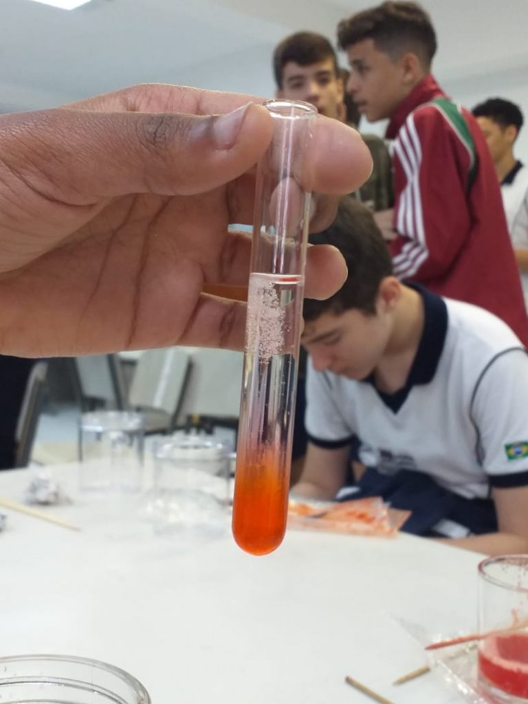 PROJETO DE BILOGIA (EXTRAÇÃO DE DNA DO MORANGO) – (9º ANO)