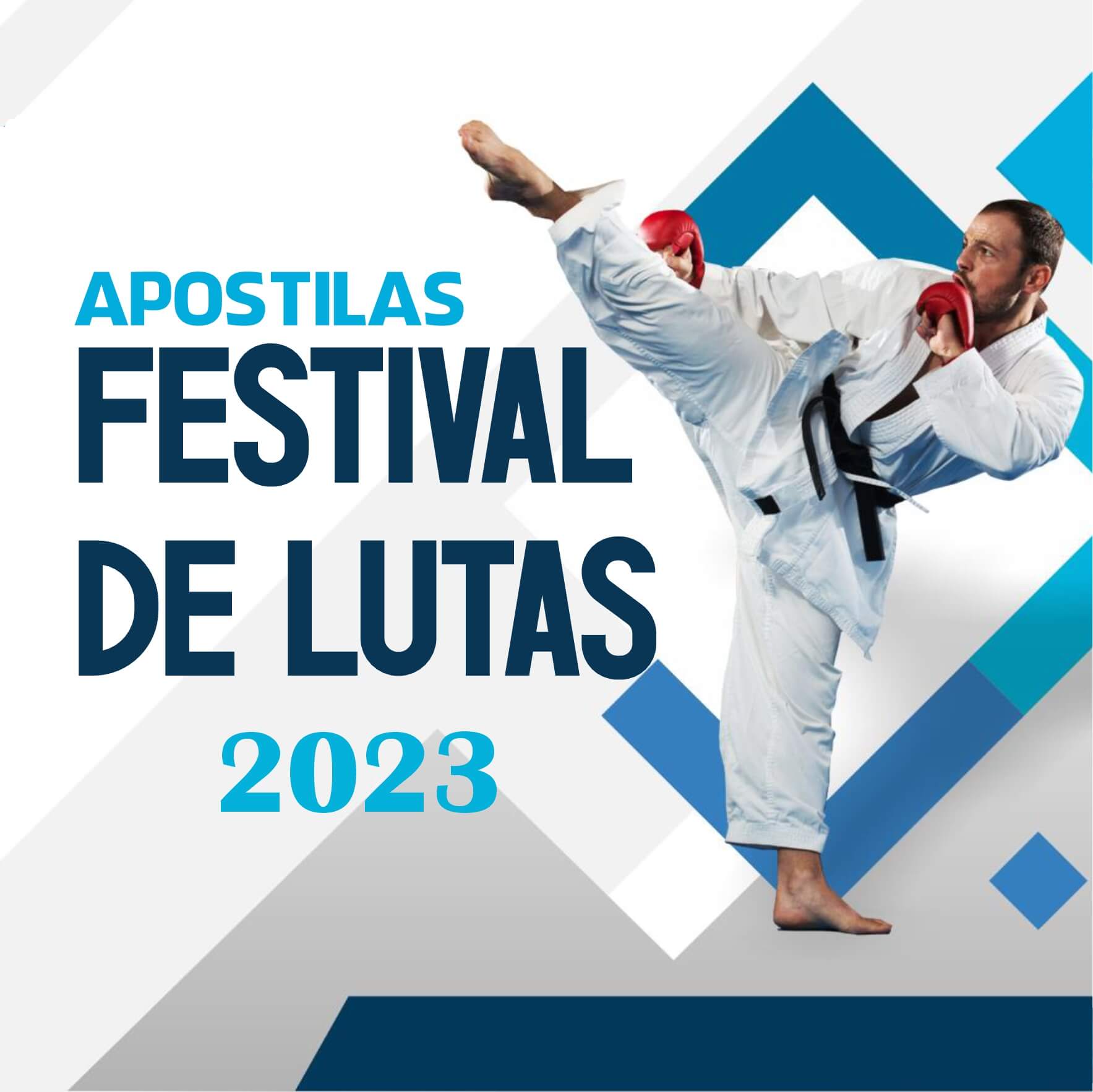 Festival de lutas